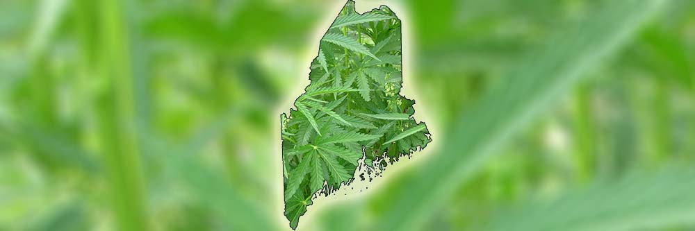 Maine Worker's Comp Medical Marijuana